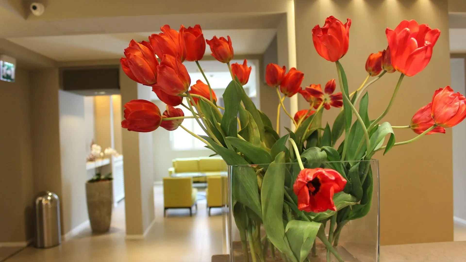 Airone City Hotel Catania